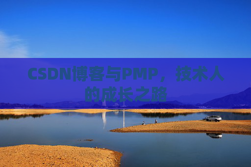 CSDN博客与PMP，技术人的成长之路